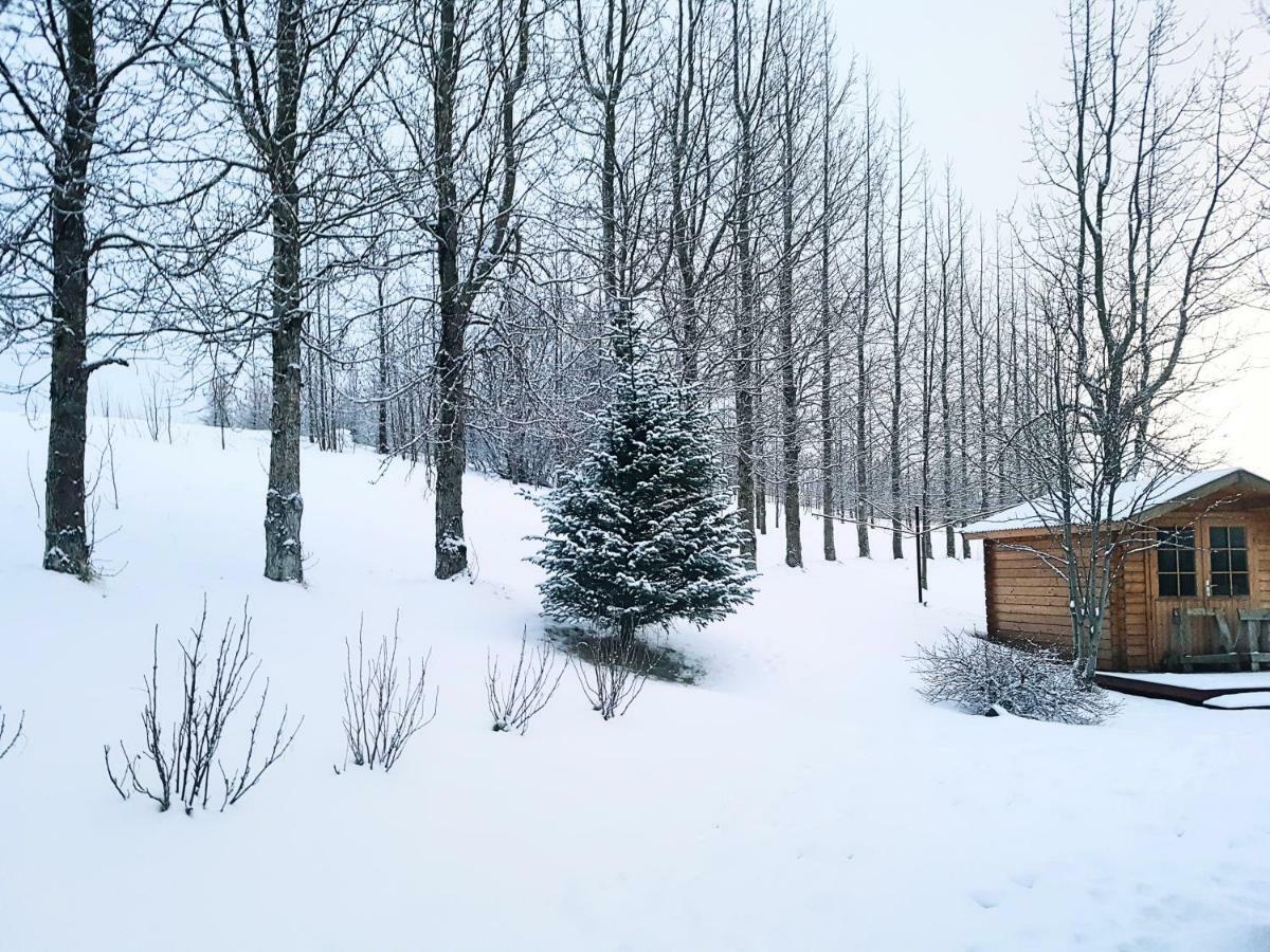 Apartamento Laekjarbakki 11 Varmahlid  Exterior foto